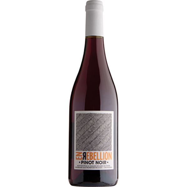 ORG EN REBELLION PN 75X6